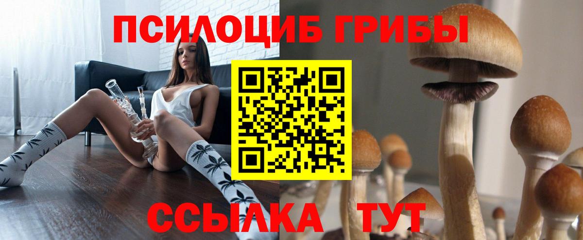 Скопин  Псилоцибиновые грибы MAGIC MUSHROOMS  Вход с VPN 